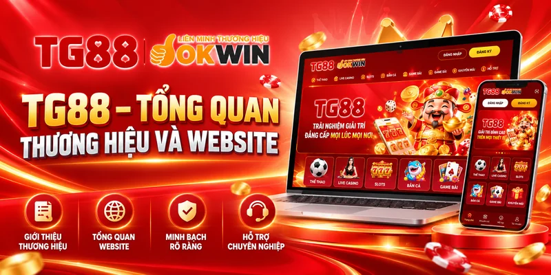 Tổng quan thương hiệu TG88 và thông tin website nhà cái trực tuyến